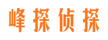 北镇侦探公司